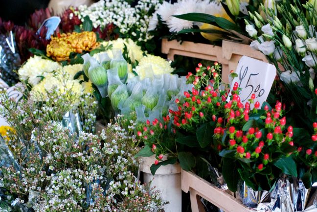 JosefinaKarinLovisa | London Columbia Road flower market